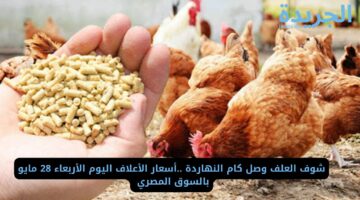 شوف العلف وصل كام النهاردة ..أسعار الأعلاف اليوم الأربعاء 28 مايو بالسوق المصري