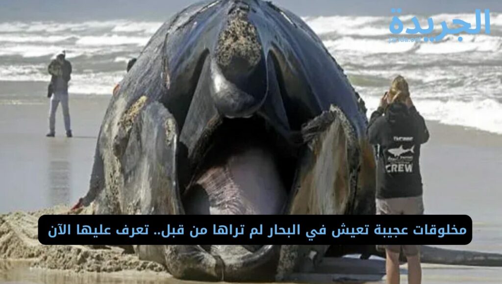 مخلوقات تم اكتشافها و أثارت العجب