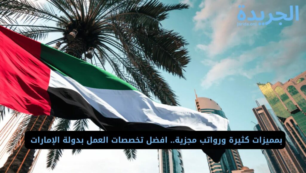 التخصصات الأكثر طلباً في دولة الإمارات