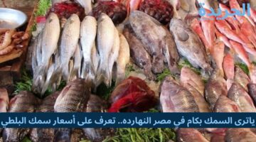 ياترى السمك بكام في مصر النهارده.. تعرف على أسعار سمك البلطي