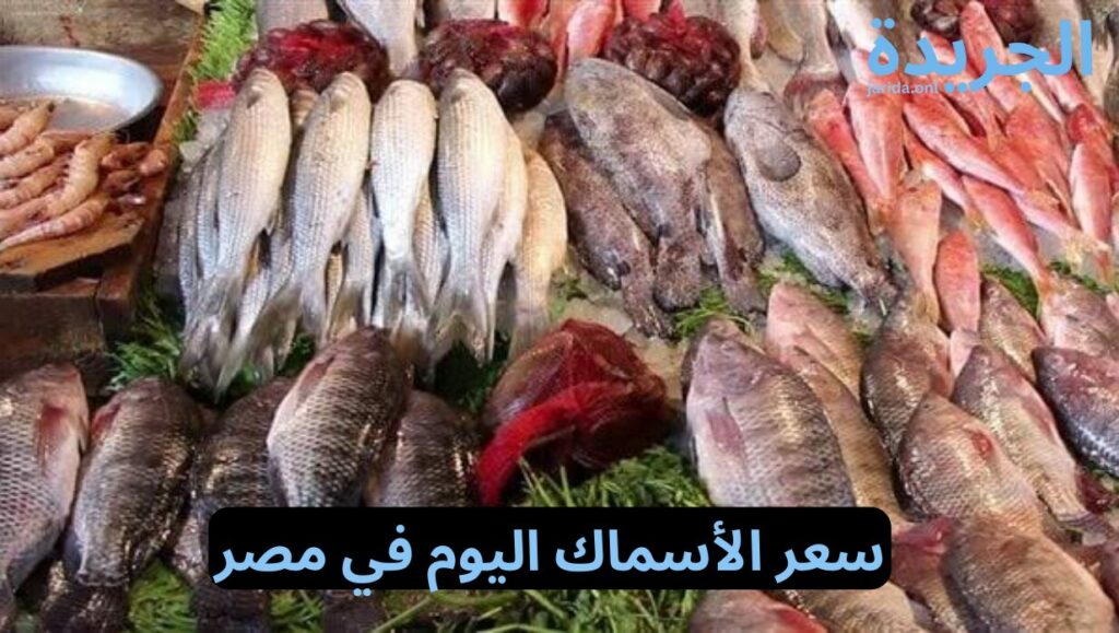 سعر السمك اليوم في مصر