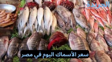 السمك في النازل.. أسعار الأسماك اليوم الثلاثاء 21/5/2024 في مصر
