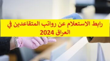 بوابة “ur.gov.iq” رابط تسجيل استمارة الضمان الاجتماعي العراق 2024 عبر أور الإلكترونية والمستمسكات المطلوبة