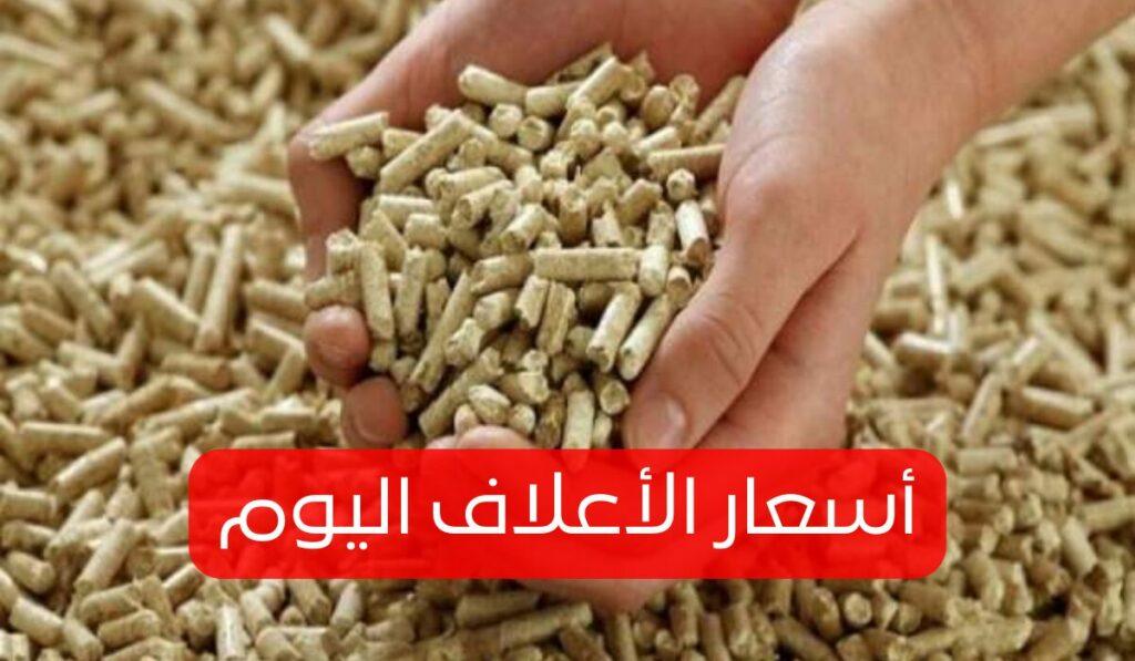 أسعار الأعلاف اليوم