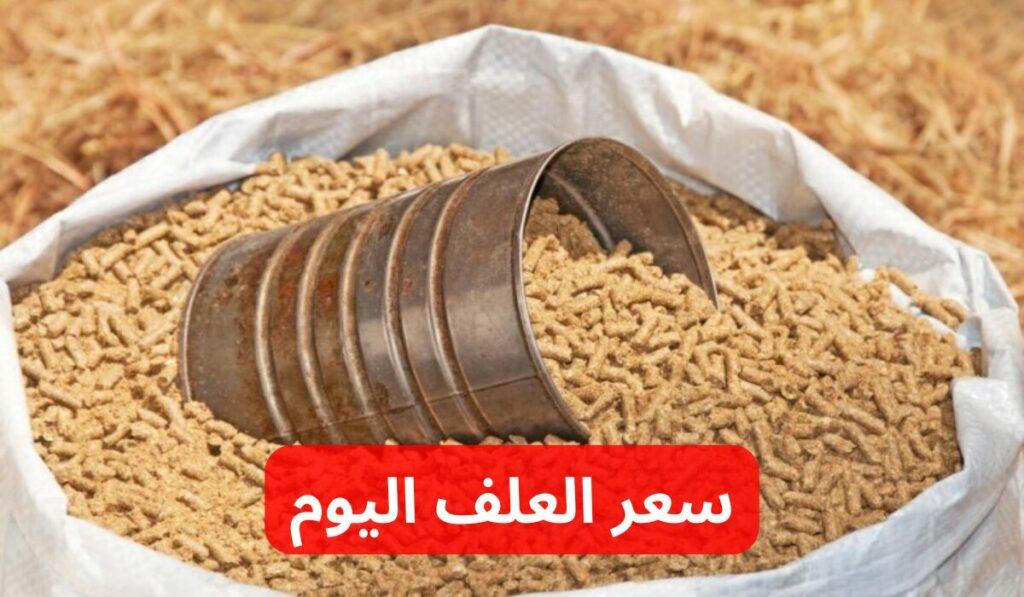 سعر العلف اليوم