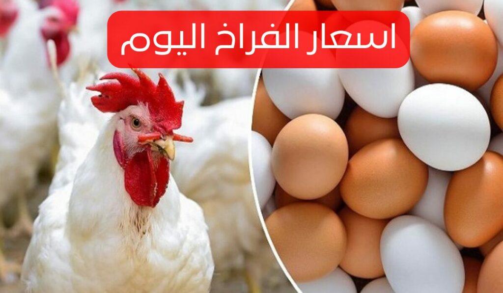 اسعار الفراخ اليوم