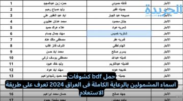 حمل pdf كشوفات اسماء المشمولين بالرعاية الكاملة فى العراق 2024 تعرف على طريقة الاستعلام