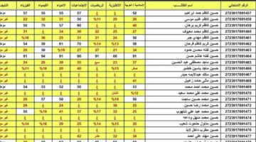 رابط نتائج السادس الابتدائي 2024 عبر موقع وزارة التربية العراقية epedu.gov.iq