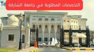 جامعة الشارقة تفتح الباب لاستقبال أعضاء هيئة تدريس في عدة كليات لهذه التخصصات.. تعرف على التفاصيل