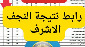 تم الرفع…رابط نتائج الصف السادس الابتدائي 2024 النجف الاشرف عبر موقع وزارة التربية العراقية