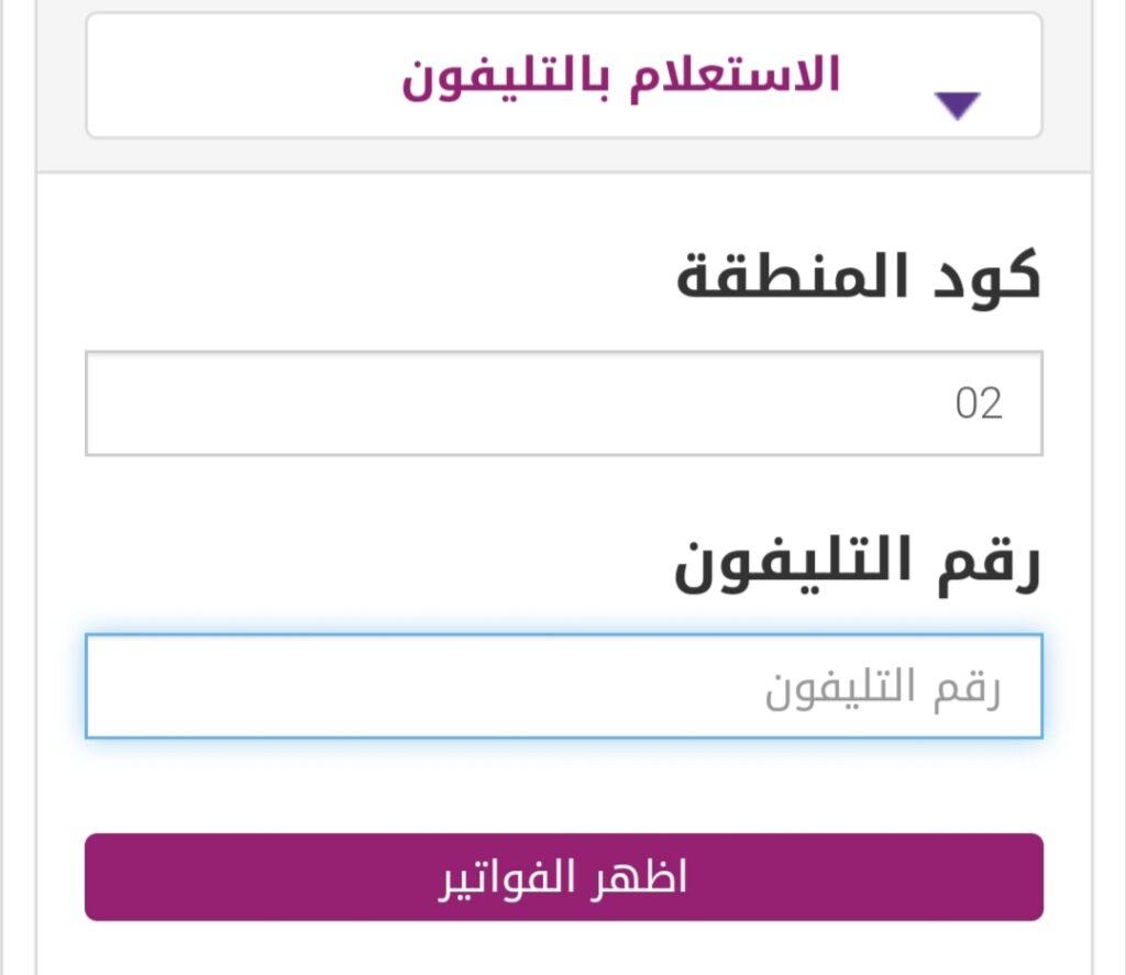 تعرف على كيفية دفع فاتورة التليفون الأرضي وتجنب الغرامة