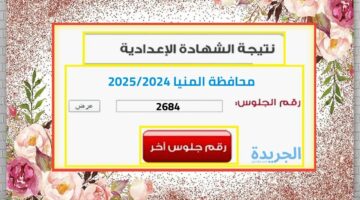 رابط مباشر.. نتيجة الصف الثالث الاعدادي محافظة المنيا الترم الثاني 2024 بالأسم ورقم الجلوس