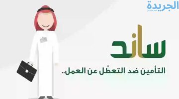 كيفية الاستفادة من دعم ساند.. شروط وخطوات الاستعلام