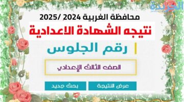 نتيجة الشهادة الإعدادية محافظة الغربية 2024.. بالاسم ورقم الجلوس