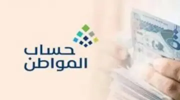 الكشف عن خطوات الإفصاح عن دخل المحلات التجارية بحساب المواطن “خدمة المستفيدين”
