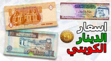 “فين أفضل سعر”.. تحليل أسعار الدينار الكويتي اليوم الجمعة في البنوك المصرية