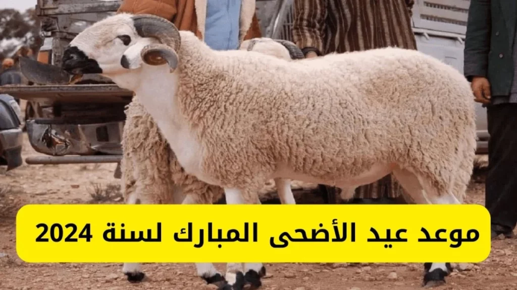 موعد إجازة عيد الأضحى