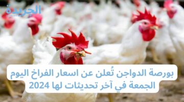 بورصة الدواجن تُعلن عن اسعار الفراخ اليوم الجمعة في آخر تحديثات لها 2024