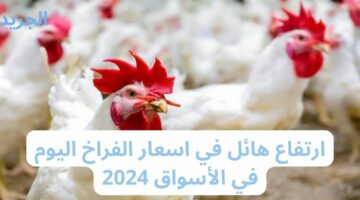 ارتفاع هائل في اسعار الفراخ اليوم في الأسواق 2024