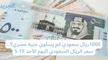 1000ريال سعودي كم يساوي جنيه مصري؟.. سعر الريال السعودي اليوم الأحد 19-5