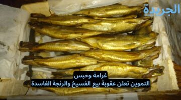 غرامة وحبس.. التموين تعلن عقوبة بيع الفسيخ والرنجة الفاسدة