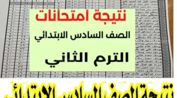 “مبروووك للجميع”.. نتائج السادس الإبتدائي محافظة القاهرة 2024
