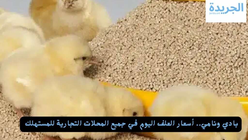 أسعار العلف
