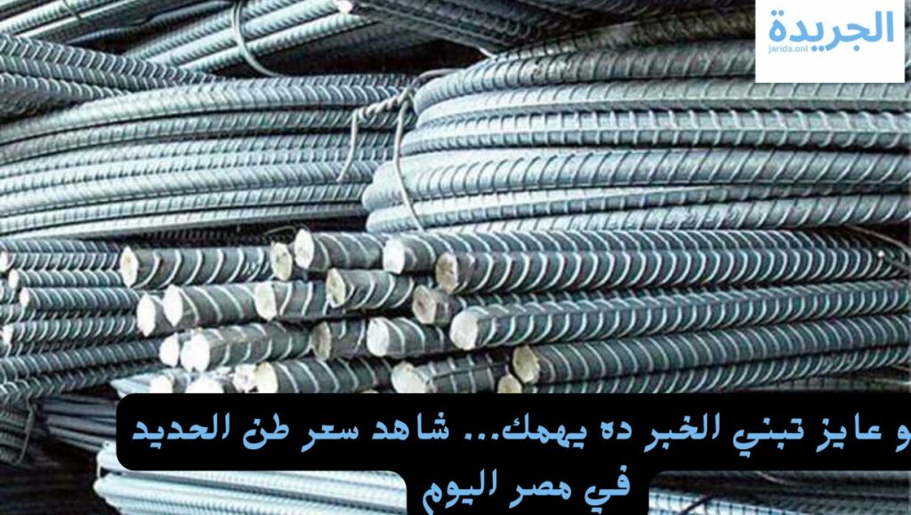 سعر الحديد بمصر