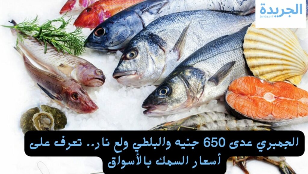 أسعار الأسماك في الأسواق