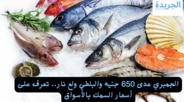 الجمبري عدى 650 جنيه والبلطي ولع نار.. تعرف على أسعار السمك اليوم بالأسواق