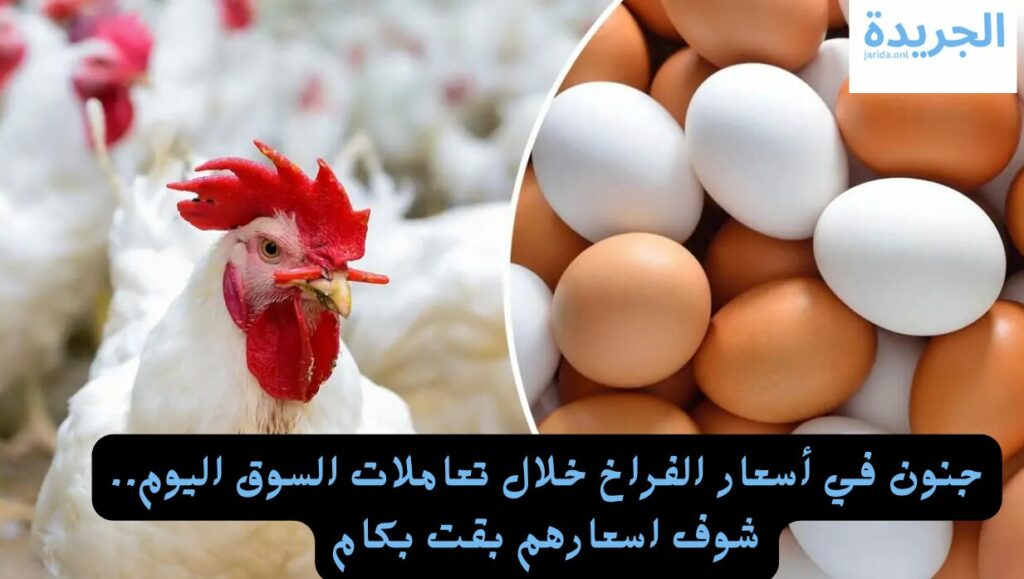 اسعار الدواجن اليوم في مصر
