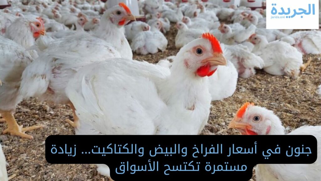  اسعار الفراخ اليوم فى بورصة الدواجن