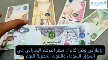 الإماراتي وصل كام؟.. سعر الدرهم مقابل الجنية في البنوك المصرية اليوم