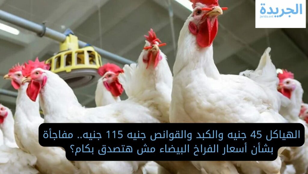 أسعار الدواجن اليوم