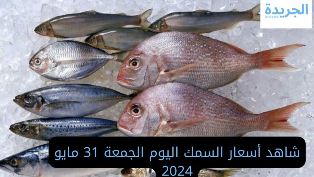 أسعار السمك اليوم