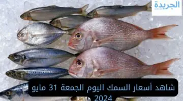 في النازل.. أسعار السمك اليوم الجمعة 31 مايو 2024