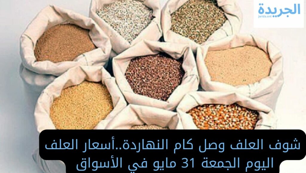 أسعار العلف اليوم