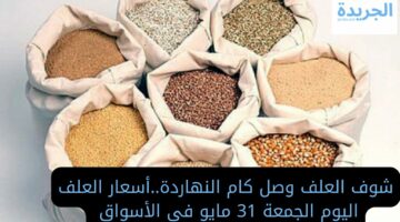 العلف وصل كام النهاردة..سعر الاعلاف اليوم الجمعة 31 مايو في الأسواق المصرية