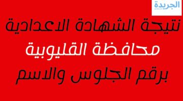 بالاسم ورقم الجلوس.. اعرف نتيجة الشهادة الإعدادية 2024 في القليوبية