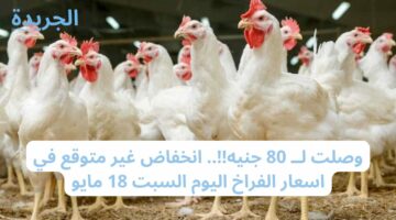 وصلت لــ 80 جنيه!!.. انخفاض غير متوقع في اسعار الفراخ اليوم السبت 18 مايو