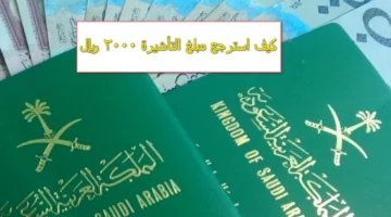 كيف استرجع مبلغ التأشيرة 2000 ريال سعودي من منصة مساند؟ “شرح بالخطوات”