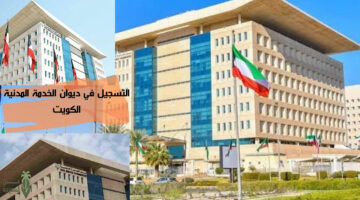 خطوات التسجيل في ديوان الخدمة المدنية الكويت والشروط المطلوبة 2024