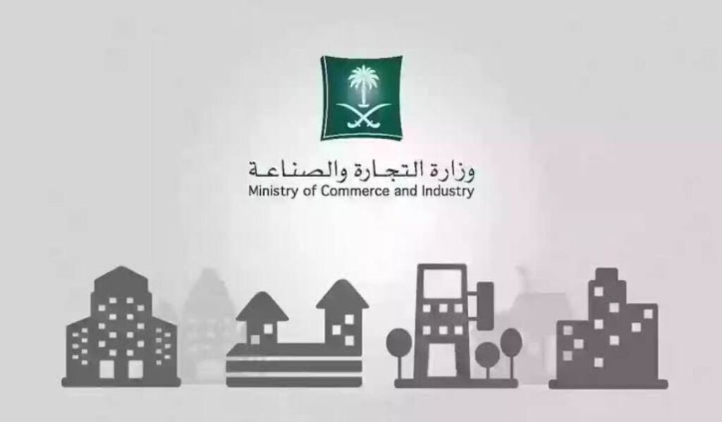 منصة النفاذ الوطني