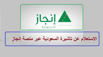 استعلم الآن عن التأشيرة برقم الهوية.. وتعرف على المتطلبات الأساسية للحصول عليها؟