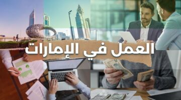 التخصصات والمهن المطلوبة في الإمارات 2024 .. رواتب وعقود العمل في الإمارات