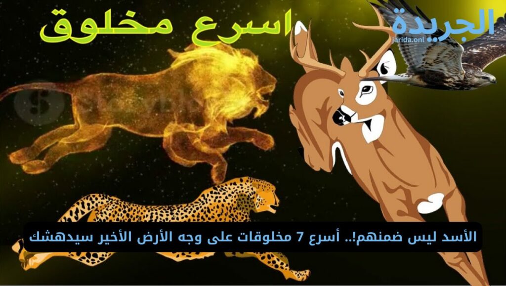 أسرع المخلوقات على كوكب الأرض