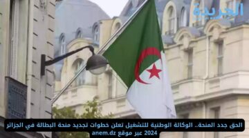الحق جدد المنحة.. الوكالة الوطنية للتشغيل تعلن خطوات تجديد منحة البطالة في الجزائر 2024 عبر موقع anem.dz