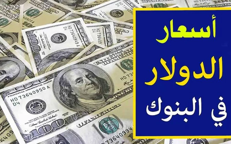 سعر الدولار في مصر اليوم الاربعاء