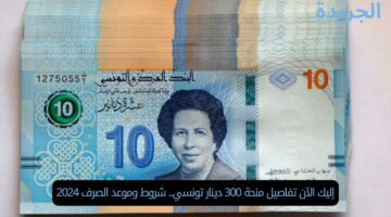 إليك الآن تفاصيل منحة 300 دينار تونسي.. شروط وموعد الصرف 2024