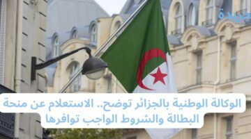 الوكالة الوطنية بالجزائر توضح.. الاستعلام عن منحة البطالة والشروط الواجب توافرها